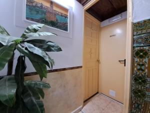 Galeriebild der Unterkunft Pensión Riosol in Sevilla
