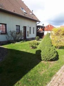 uma casa com um grande arbusto no quintal em Ferienwohnung "Brodaer Holz" em Neubrandenburg