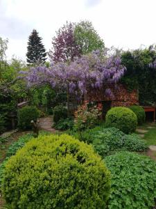 Zahrada ubytování Haus Rosenbusch