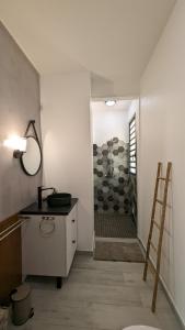 W łazience znajduje się prysznic, umywalka i lustro. w obiekcie Villa des 3 sables, COCO w mieście Étang-Salé les Bains
