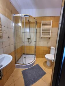 uma casa de banho com um chuveiro, um WC e um lavatório. em Hotelik OSiR Lubawa em Lubawa