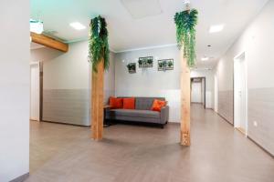 Fotografie z fotogalerie ubytování Hostel Veronika Celje v destinaci Celje