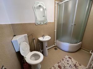 a bathroom with a shower and a toilet and a sink at Cabana Sânziana in Gîrda de Sus +14 photos