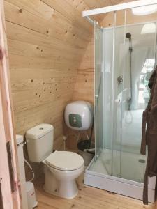 a small bathroom with a toilet and a shower at LAS CASAS DE DURÓN in Durón
