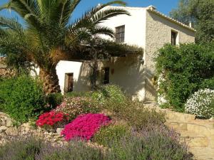 una casa blanca con una palmera y flores en La Molina Del Olivar - Peaceful Location, en Ríogordo
