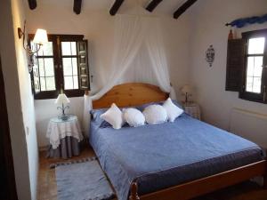 sypialnia z niebieskim łóżkiem i dwiema poduszkami w obiekcie La Molina Del Olivar - Peaceful Location w mieście Ríogordo