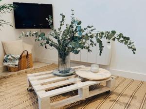 TV a/nebo společenská místnost v ubytování Apartamento Puerta del Camino 6