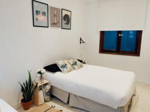 Postel nebo postele na pokoji v ubytování Apartamento Puerta del Camino 6
