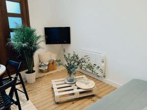TV a/nebo společenská místnost v ubytování Apartamento Puerta del Camino 6