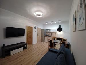 uma sala de estar com um sofá e uma televisão em Paderewskiego Old Town Apartaments em Cracóvia