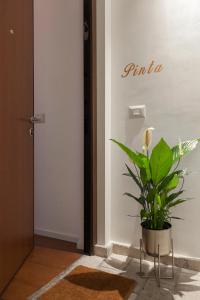 a plant in a pot next to a door at Palazzetto de Lante Appartamento Pinta in Rome