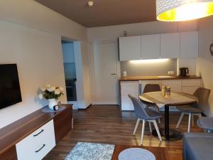 A kitchen or kitchenette at Exklusiv Apartment Sonnenalp