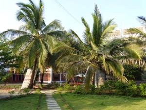 En have udenfor Sabala Heritage Home