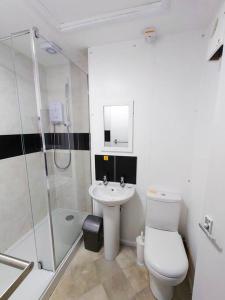 a bathroom with a toilet and a sink and a shower at No.7 Perran View in St. Agnes 