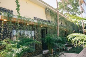 Zahrada ubytování Homestay Bảo Bình
