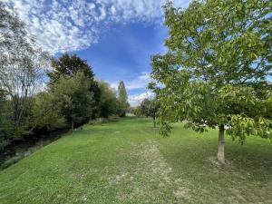 a tree in a field next to a river at Kelsbachhaus OG in Pförring