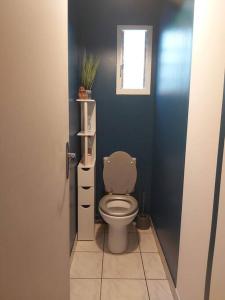 een badkamer met een toilet in een blauwe muur bij Yellow little house in Le Bois de Nèfles