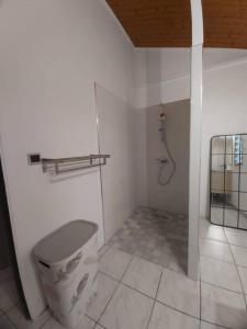 een witte badkamer met een toilet en een douche bij Yellow little house in Le Bois de Nèfles