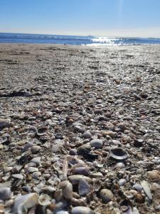 Paesaggio naturale nelle vicinanze dell'appartamento