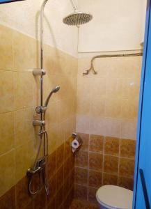 a bathroom with a shower with a toilet at Апартамент в центъра на София in Sofia