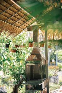 Zahrada ubytování Homestay Bảo Bình