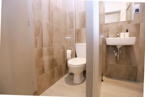 a bathroom with a toilet and a sink at Noclegi Pan Tadeusz in Wałbrzych