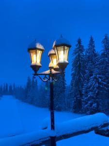 a street light in the snow at night at Harmatówka Concept Mountain in Bukowina Tatrzańska
