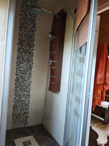 W łazience znajduje się prysznic ze szklanymi drzwiami. w obiekcie Très belle propriété avec tennis à 1h de Paris 