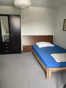 a bedroom with a blue bed and a mirror at Central Room with amazing view in St. Gallen
