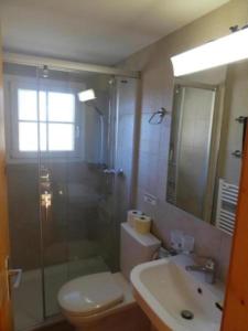 a bathroom with a shower and a toilet and a sink at Chalet Buebeberg Ferienhaus mit 8 Betten in Hasliberg Wasserwendi