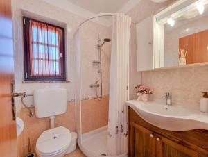 een badkamer met een toilet, een wastafel en een douche bij Santo in Novigrad Istria