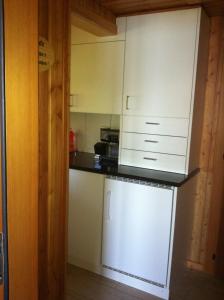 Kuchyň nebo kuchyňský kout v ubytování Chalet Balfrin Alpweg 9, 3987 Riederalp