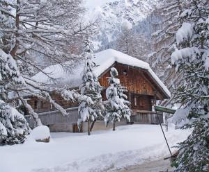 een blokhut in de sneeuw met sneeuw bedekte bomen bij Chalet Wildgall in Anterselva di Mezzo