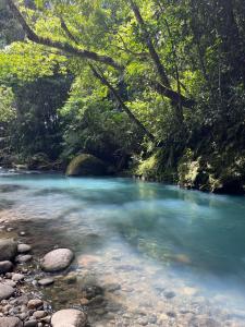 Un río con agua azul y rocas en un bosque en Villa Celeste Katira, en Rio Celeste