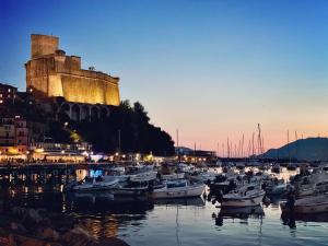 a bunch of boats in a harbor with a castle at Motobarca Oceania in La Spezia