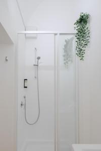 a bathroom with a shower with a plant on the wall at Trevi Fountain Guesthouse in Rome