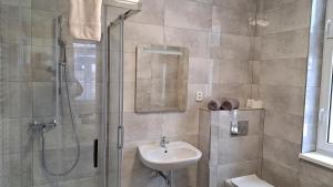 a bathroom with a shower and a sink and a toilet at Apartmány Centrum with Garage in Rokytnice nad Jizerou