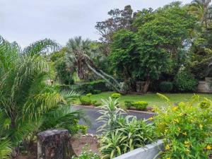 un jardín con palmeras y una carretera en Msongi Guest House en Margate