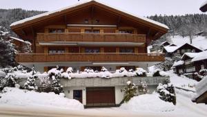 Chalet Alpenblume, Apartment Celina v zimě