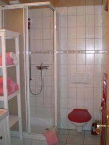 een badkamer met een douche en een toilet bij Ferienwohnung "Margrit Ost" in Lauterbrunnen