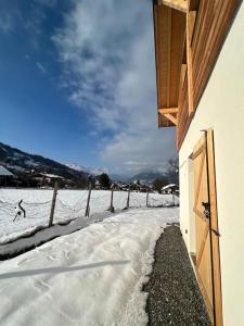 Príroda v okolí apartmánu