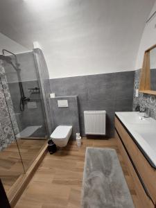 a bathroom with a shower and a sink and a toilet at Villa Celnice in Český Krumlov