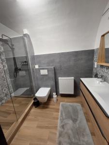 a bathroom with a shower and a sink and a toilet at Villa Celnice in Český Krumlov +48 photos