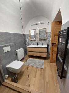 a bathroom with a toilet and a sink at Villa Celnice in Český Krumlov