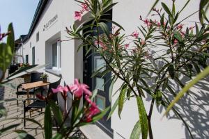 Aed väljaspool majutusasutust Weingut Guttmann - Apartment Schwalbennester