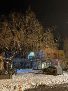 een boom voor een gebouw met sneeuw op de grond bij Complexe Collier D' Ambre in Imilchil