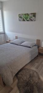 um quarto com uma cama com um tapete no chão em L' Oteni em Publier