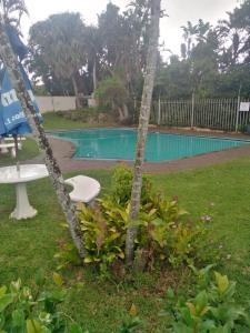 a pool with a table and a tree in a yard at Dadda's Place 2 in Port Shepstone
