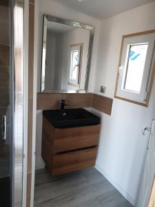 een badkamer met een wastafel en een spiegel bij La cabane du Mas gnolia in Saint-Jean-du-Gard +8 foto's