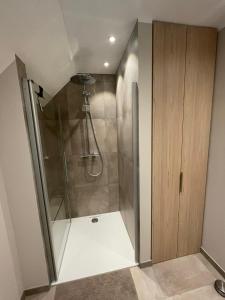 a shower with a glass door in a bathroom at Ferienhaus Mein Stall in Borken +12 photos
